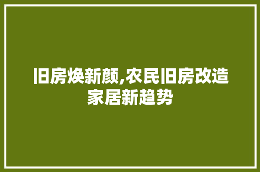 旧房焕新颜,农民旧房改造家居新趋势
