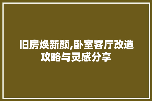 旧房焕新颜,卧室客厅改造攻略与灵感分享