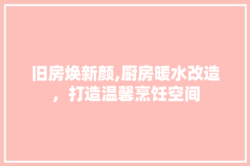 旧房焕新颜,厨房暖水改造，打造温馨烹饪空间