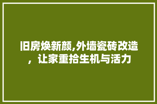 旧房焕新颜,外墙瓷砖改造，让家重拾生机与活力
