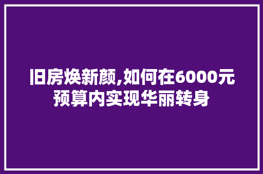 旧房焕新颜,如何在6000元预算内实现华丽转身