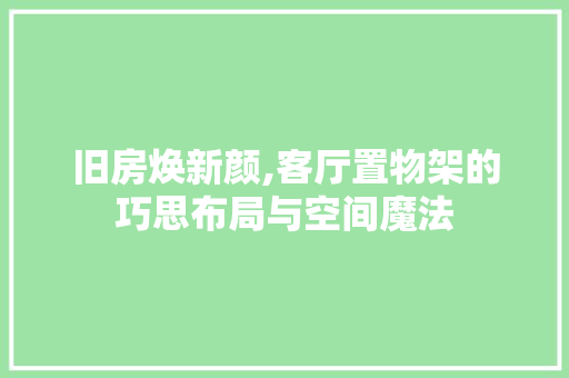旧房焕新颜,客厅置物架的巧思布局与空间魔法
