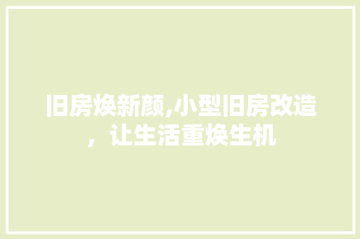 旧房焕新颜,小型旧房改造，让生活重焕生机