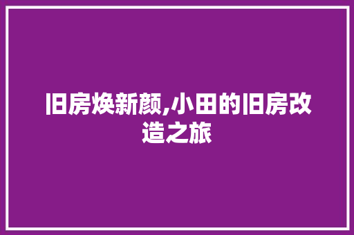 旧房焕新颜,小田的旧房改造之旅