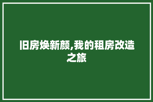 旧房焕新颜,我的租房改造之旅