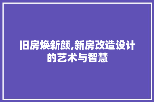 旧房焕新颜,新房改造设计的艺术与智慧