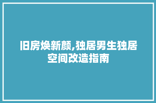 旧房焕新颜,独居男生独居空间改造指南