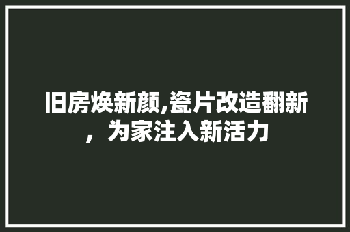 旧房焕新颜,瓷片改造翻新，为家注入新活力