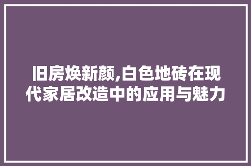 旧房焕新颜,白色地砖在现代家居改造中的应用与魅力