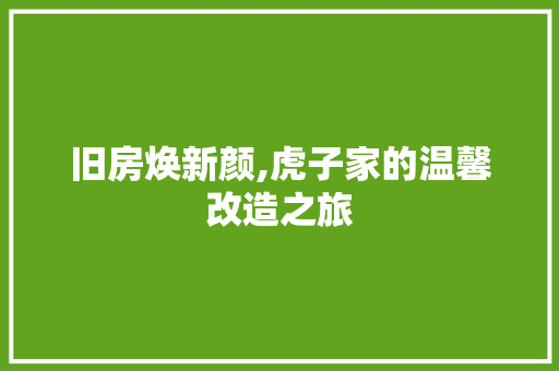 旧房焕新颜,虎子家的温馨改造之旅