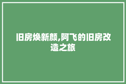 旧房焕新颜,阿飞的旧房改造之旅