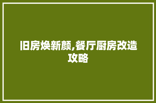 旧房焕新颜,餐厅厨房改造攻略