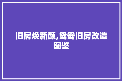 旧房焕新颜,鸳鸯旧房改造图鉴