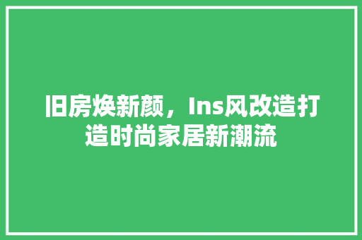 旧房焕新颜，Ins风改造打造时尚家居新潮流