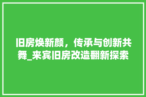 旧房焕新颜，传承与创新共舞_来宾旧房改造翻新探索