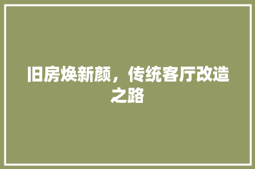 旧房焕新颜，传统客厅改造之路