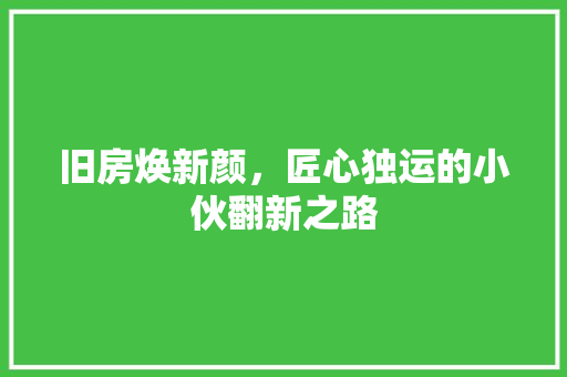 旧房焕新颜，匠心独运的小伙翻新之路