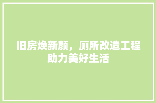 旧房焕新颜，厕所改造工程助力美好生活