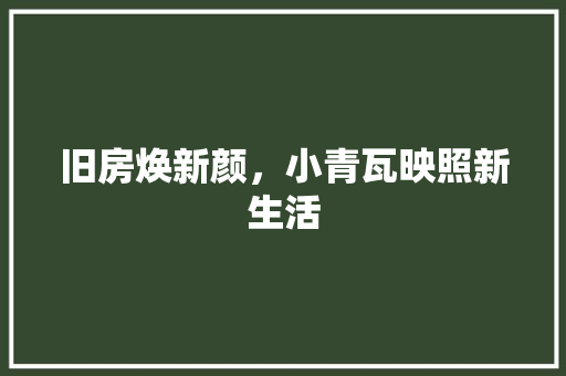 旧房焕新颜，小青瓦映照新生活