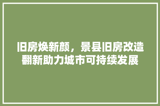 旧房焕新颜，景县旧房改造翻新助力城市可持续发展
