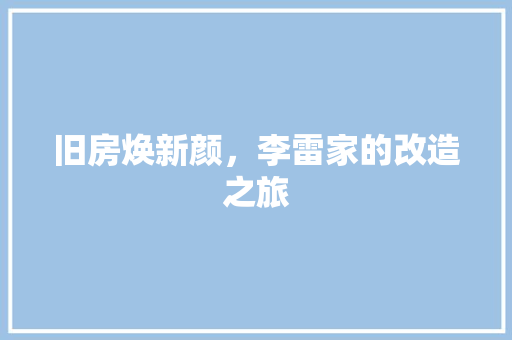 旧房焕新颜，李雷家的改造之旅