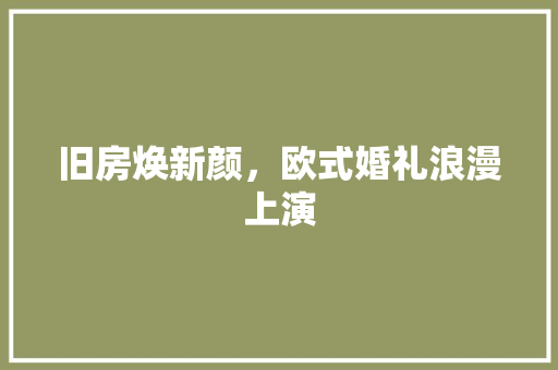 旧房焕新颜，欧式婚礼浪漫上演