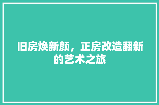 旧房焕新颜，正房改造翻新的艺术之旅