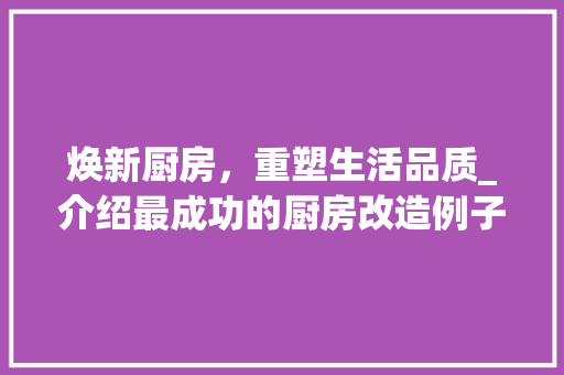 焕新厨房，重塑生活品质_介绍最成功的厨房改造例子
