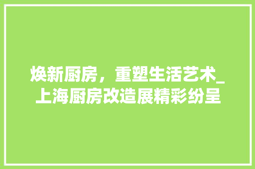 焕新厨房，重塑生活艺术_上海厨房改造展精彩纷呈