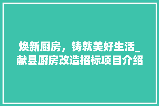 焕新厨房，铸就美好生活_献县厨房改造招标项目介绍