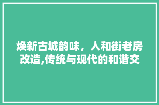 焕新古城韵味，人和街老房改造,传统与现代的和谐交融