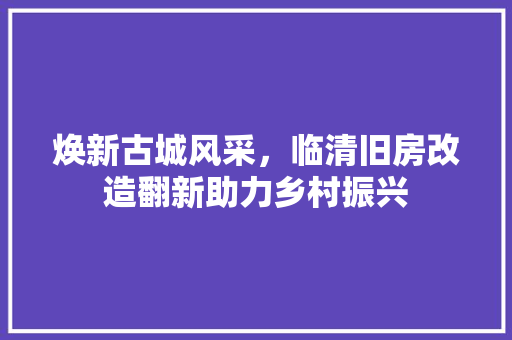 焕新古城风采，临清旧房改造翻新助力乡村振兴