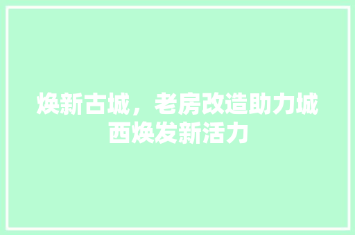 焕新古城，老房改造助力城西焕发新活力