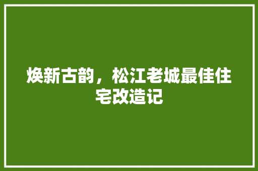 焕新古韵，松江老城最佳住宅改造记