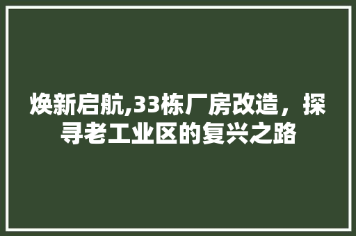 焕新启航,33栋厂房改造，探寻老工业区的复兴之路