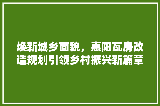 焕新城乡面貌，惠阳瓦房改造规划引领乡村振兴新篇章