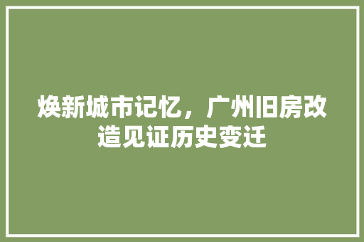 焕新城市记忆，广州旧房改造见证历史变迁