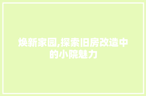 焕新家园,探索旧房改造中的小院魅力