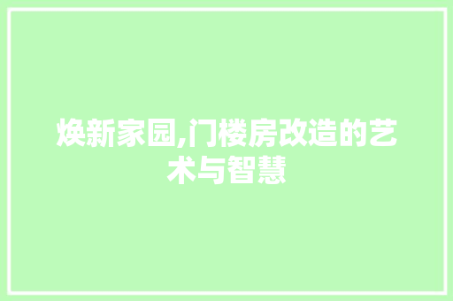 焕新家园,门楼房改造的艺术与智慧 墙体维修