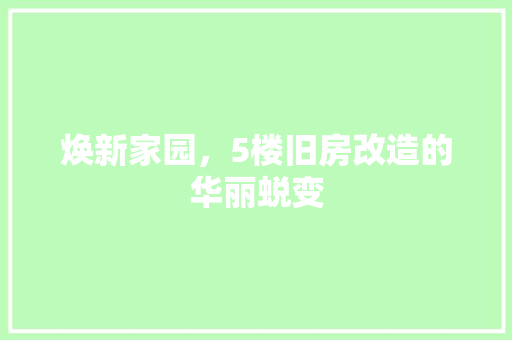 焕新家园，5楼旧房改造的华丽蜕变
