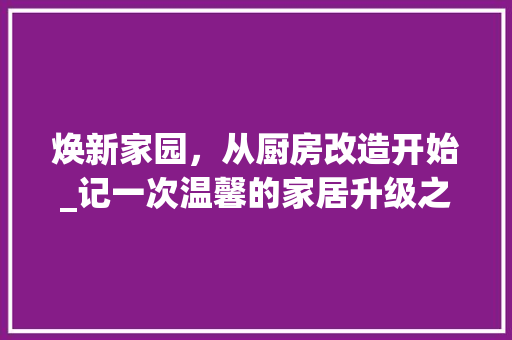 焕新家园，从厨房改造开始_记一次温馨的家居升级之旅