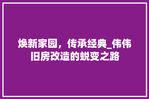 焕新家园，传承经典_伟伟旧房改造的蜕变之路