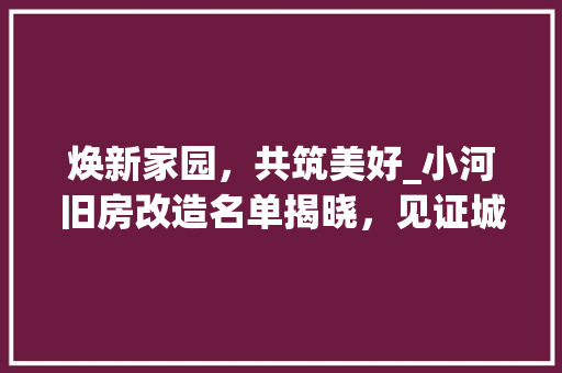 焕新家园，共筑美好_小河旧房改造名单揭晓，见证城市发展新篇章