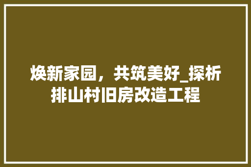 焕新家园，共筑美好_探析排山村旧房改造工程