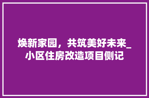 焕新家园，共筑美好未来_小区住房改造项目侧记