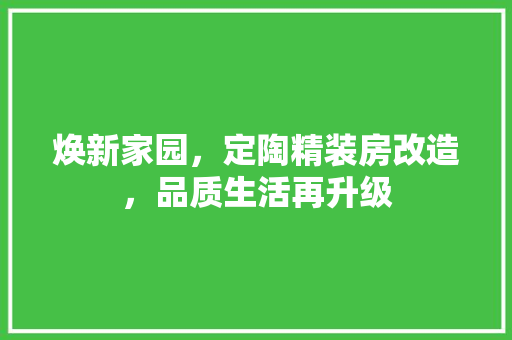焕新家园，定陶精装房改造，品质生活再升级