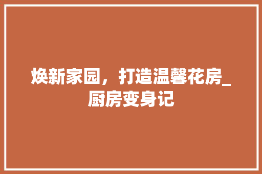 焕新家园，打造温馨花房_厨房变身记