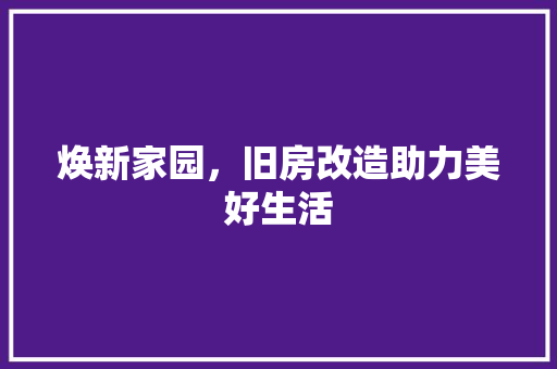 焕新家园，旧房改造助力美好生活