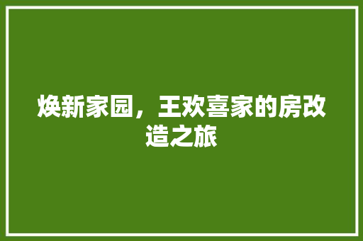 焕新家园，王欢喜家的房改造之旅
