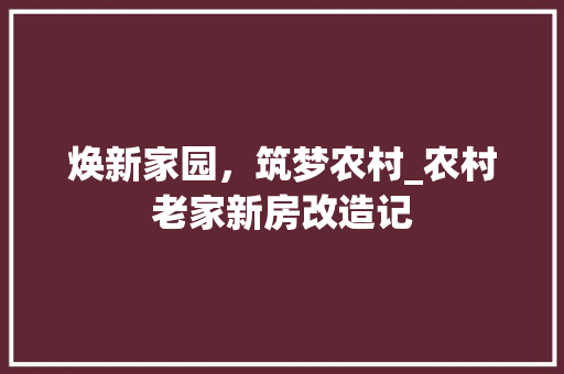 焕新家园，筑梦农村_农村老家新房改造记